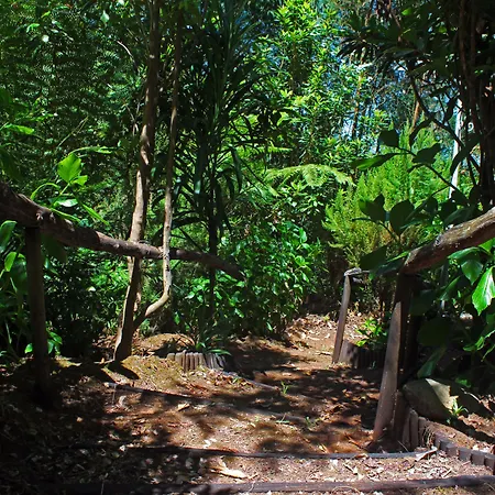 Séjour à la campagne Casa Os Manos Santana (Madeira)