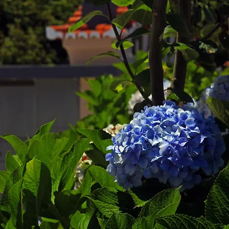 Séjour à la campagne Casa Os Manos *