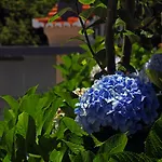 カントリーハウス Casa Os Manos *