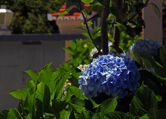 Landsted Casa Os Manos *